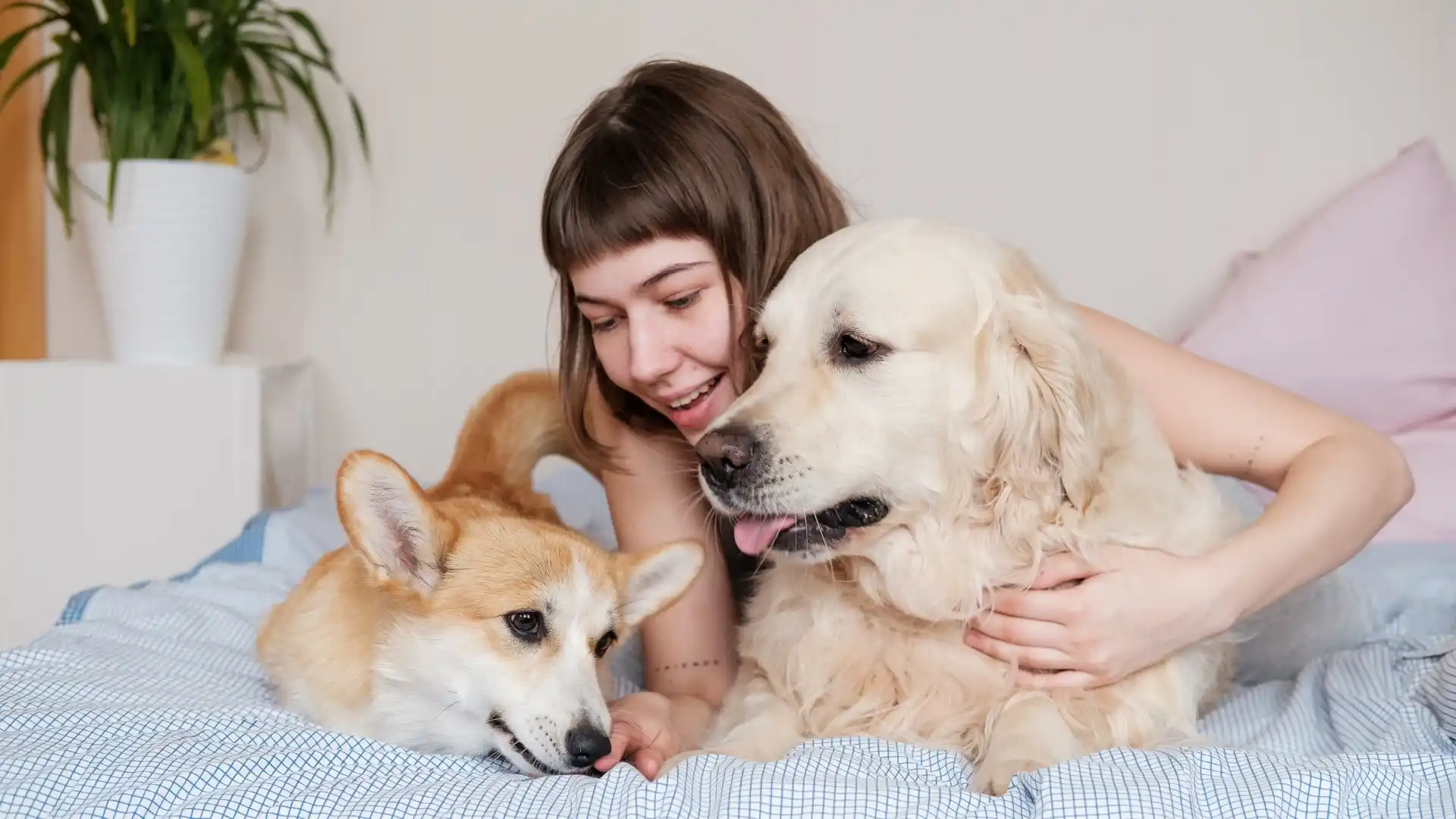 Caribbean Airlines Pet Policy