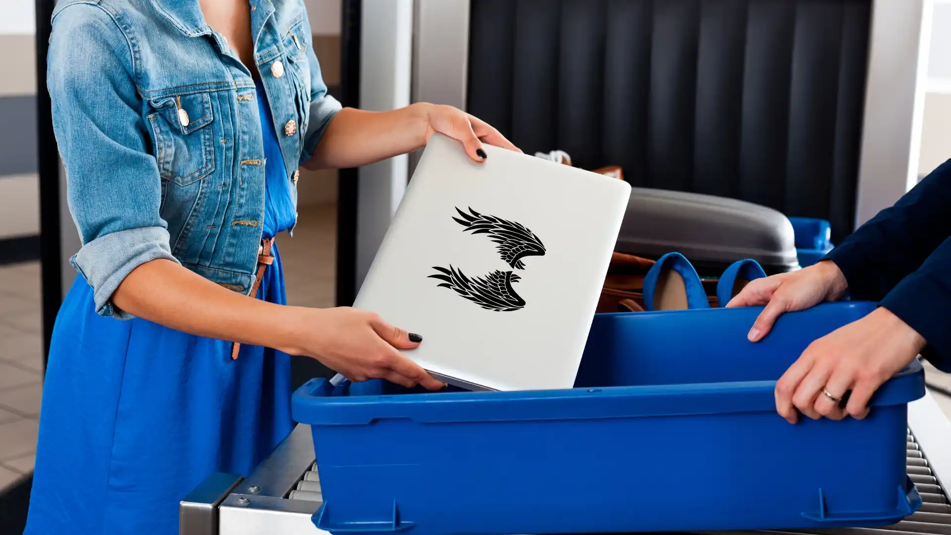 Pal Airlines Baggage Policy