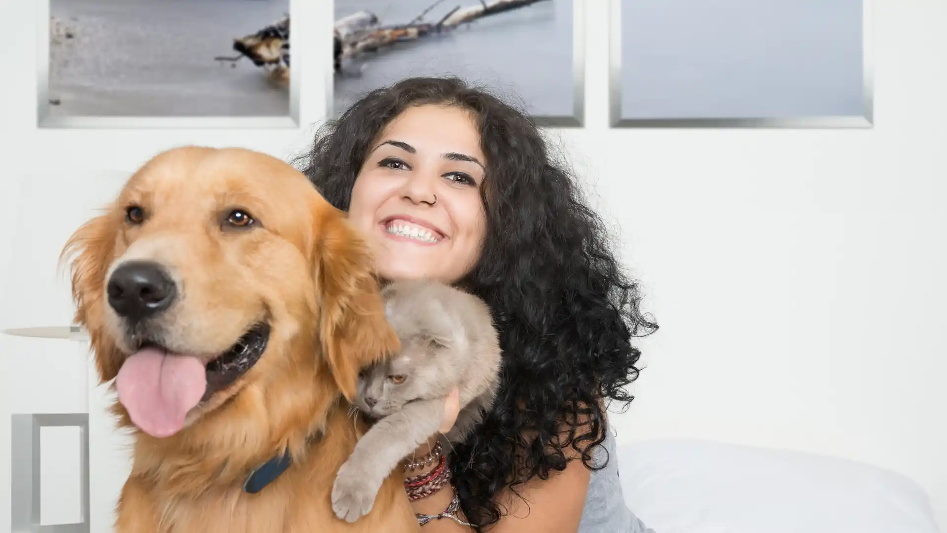 Virgin Atlantic Pet Policy